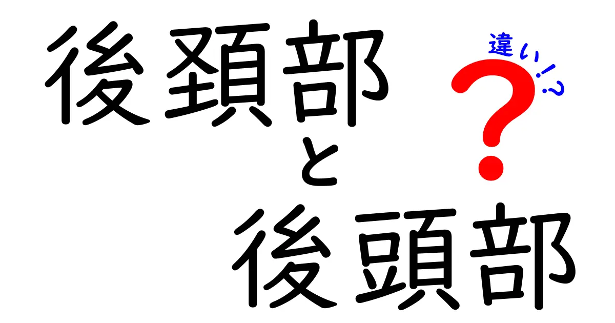 後頚部と後頭部の違いをわかりやすく解説！中学生にも役立つポイントを徹底整理