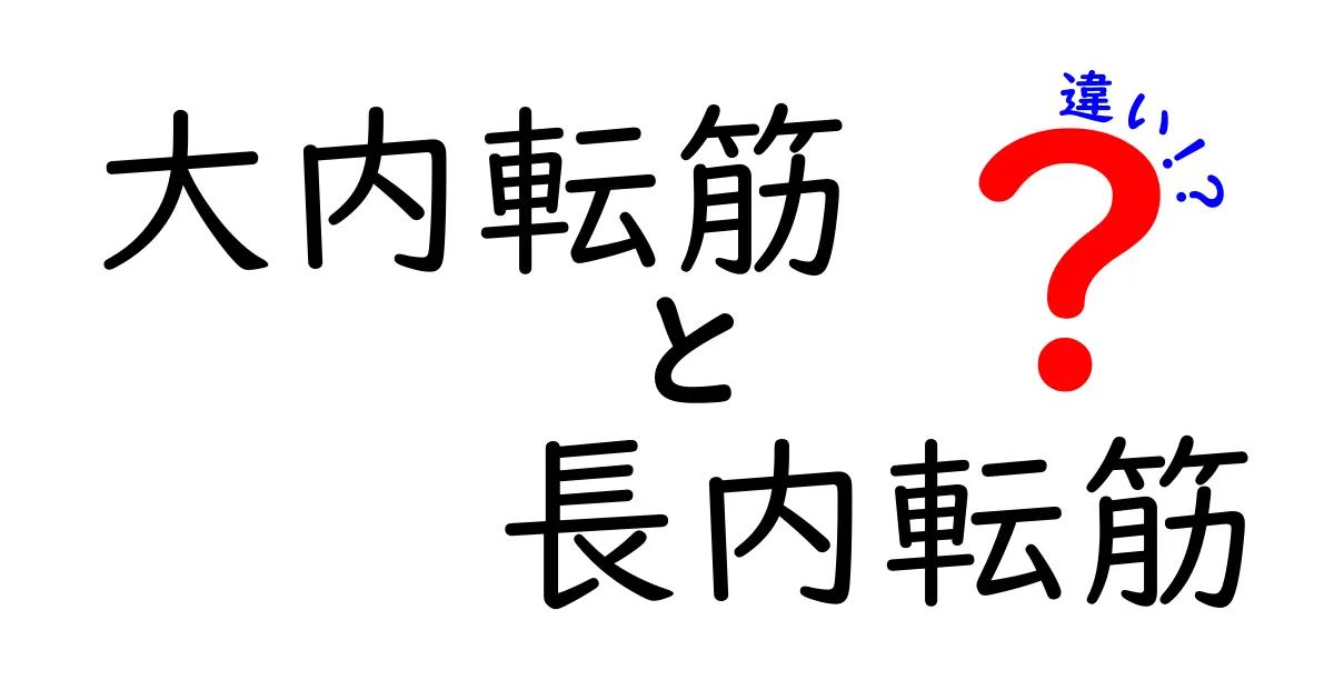 大内転筋と長内転筋の違いを徹底解説: 位置・機能・トレーニングのポイントを中学生にもわかる言葉で