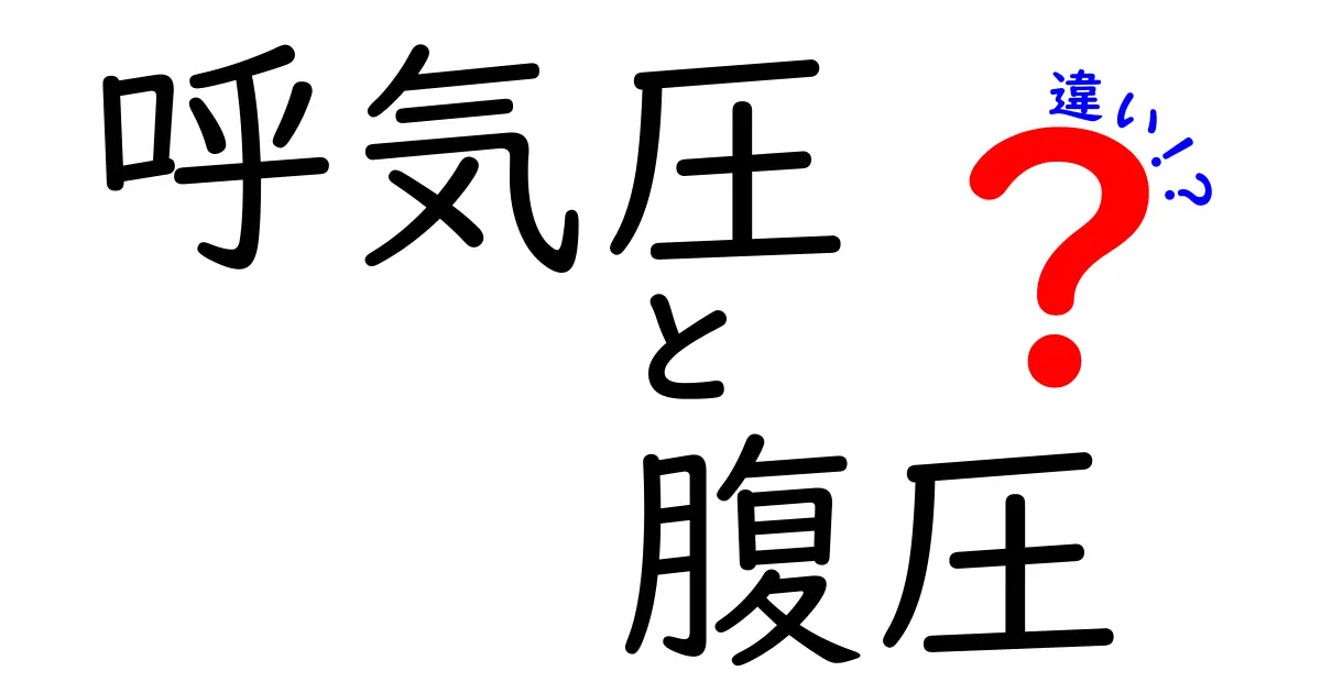 呼気圧と腹圧の違いを徹底解説！中学生にもわかる体の仕組みと日常に役立つポイント