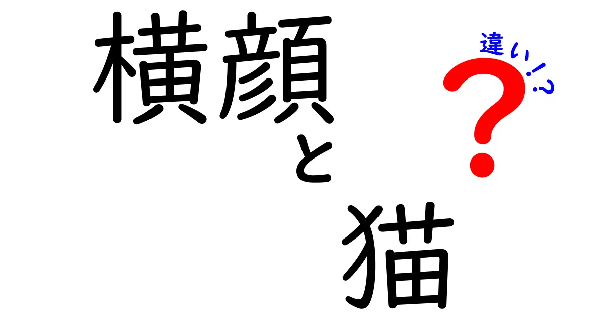 横顔 猫 違いを徹底解説！写真で見分ける7つのポイントとヒゲの謎