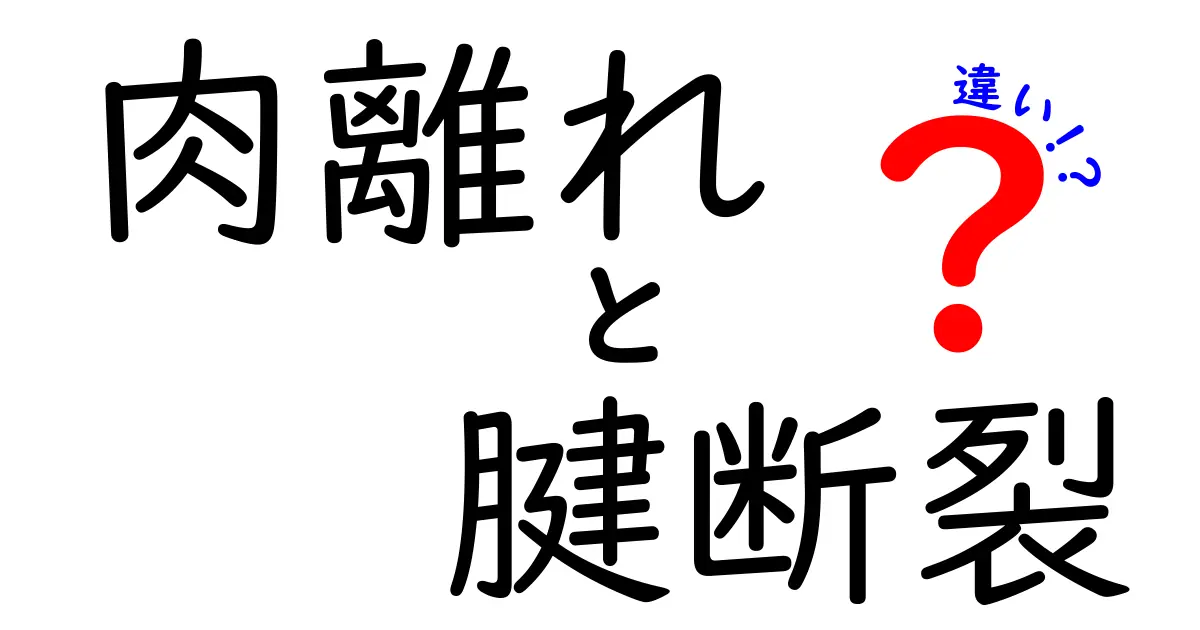 肉離れと腱断裂の違いを徹底解説｜原因・症状・治療・予防まで知ろう