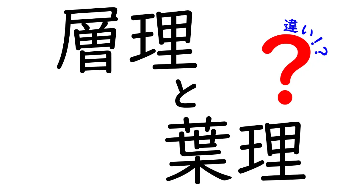 層理と葉理の違いを徹底解説！地層の謎をわかりやすく紐解く中学生向けガイド