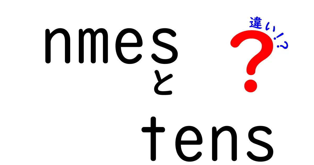 nmes　tens　違いをわかりやすく解説！名前と動詞の時制の違いを中学生にも伝わる英語入門