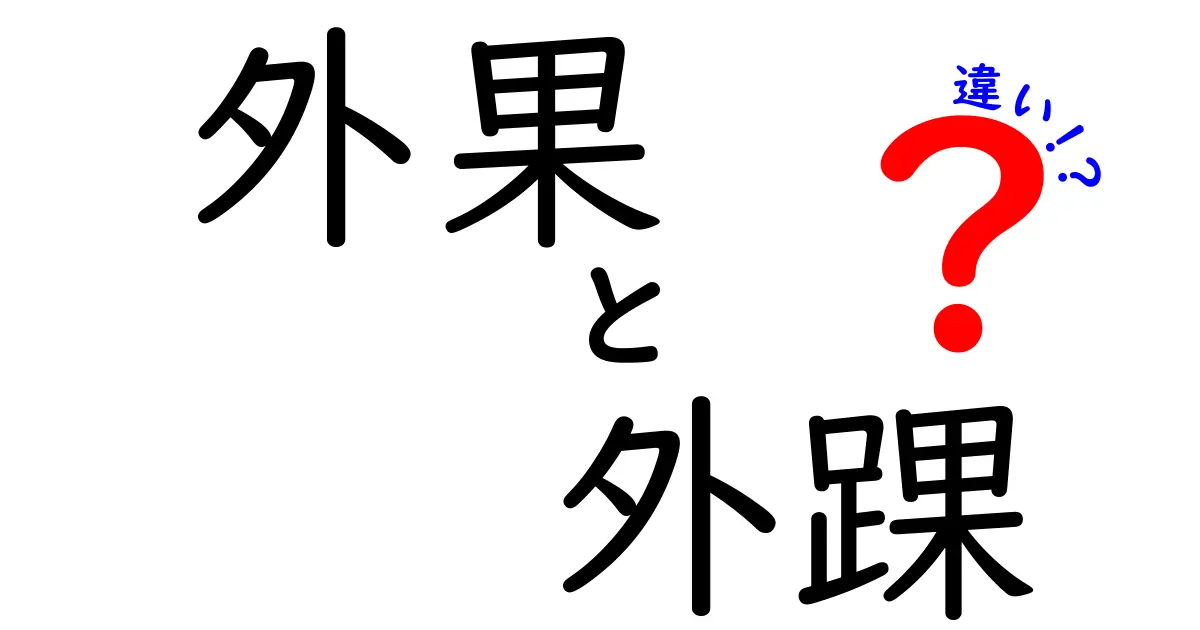 外果と外踝の違いを徹底解説！骨の名称と日常語の差を正しく理解しよう