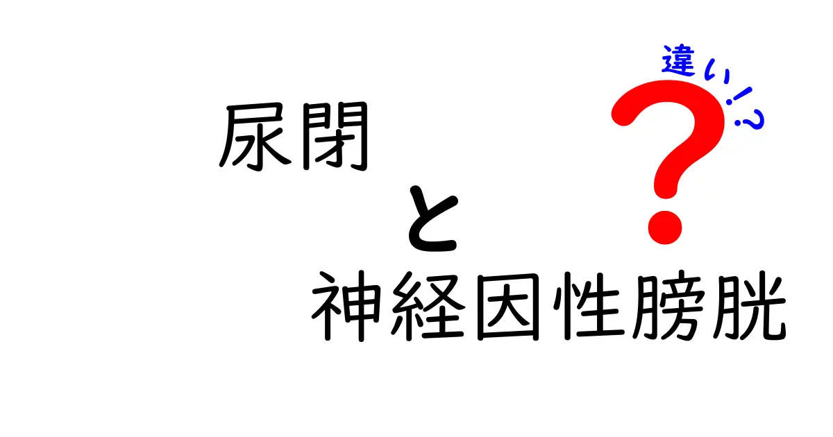 尿閉と神経因性膀胱の違いを徹底解説｜原因・症状・治療を中学生にもわかる言葉で