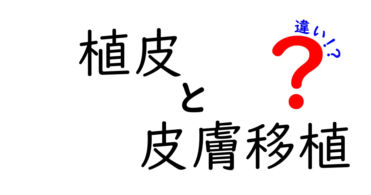 植皮と皮膚移植の違いを徹底解説！中学生にもわかるポイントと実例