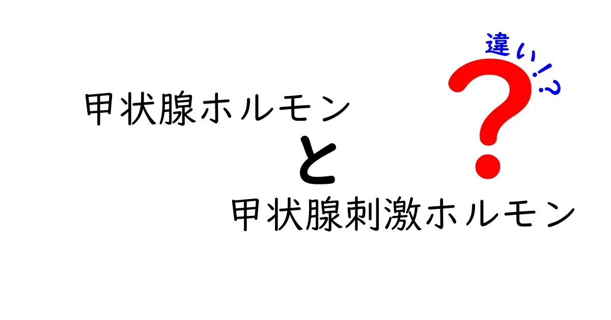 甲状腺ホルモンと甲状腺刺激ホルモンの違いを徹底解説｜中学生にもわかるシンプルな見分け方