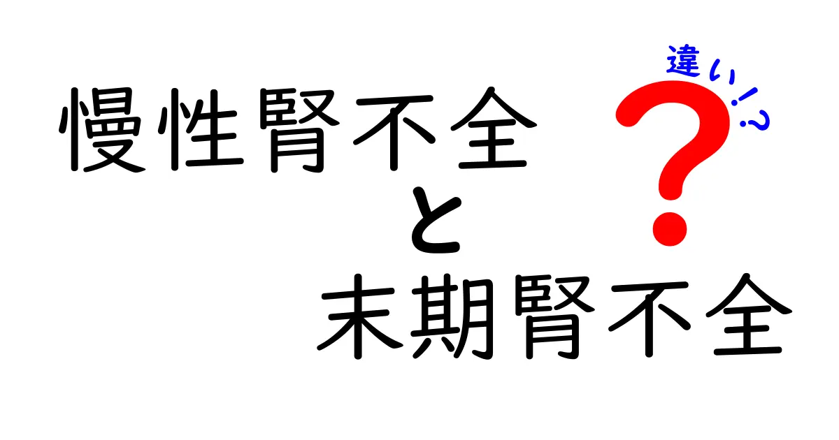 慢性腎不全と末期腎不全の違いをわかりやすく解説｜基礎知識から見分け方まで