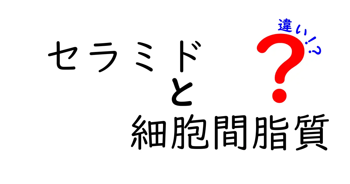 セラミドと細胞間脂質の違いをわかりやすく解説！肌と細胞膜の秘密を徹底比較ガイド