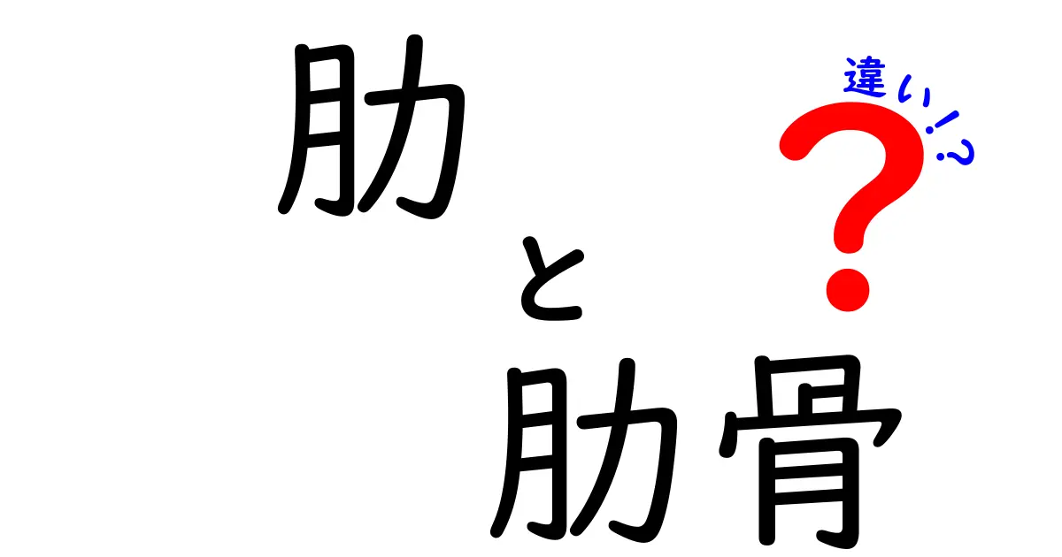 肋と肋骨の違いを徹底解説｜中学生にも分かる図解つきガイド