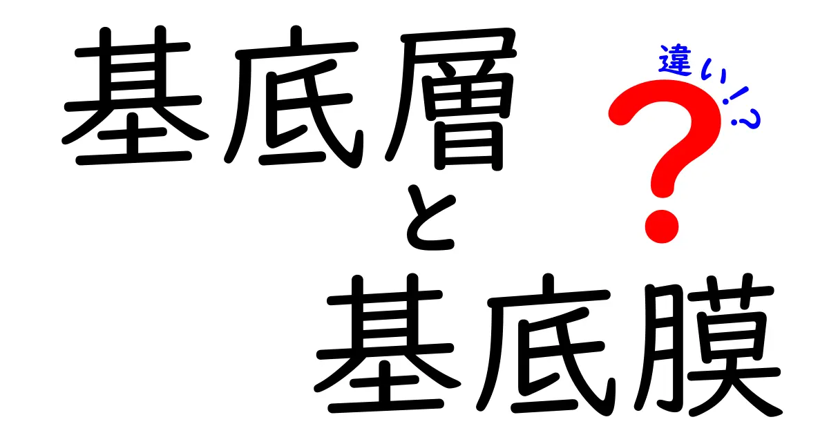 基底層と基底膜の違いを徹底解説：肌と組織の秘密を中学生にもわかる言葉で