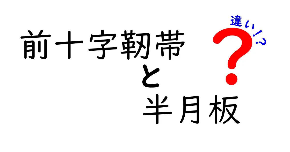 前十字靭帯と半月板の違いを徹底解説！怪我を防ぐ基本と日常の見分け方