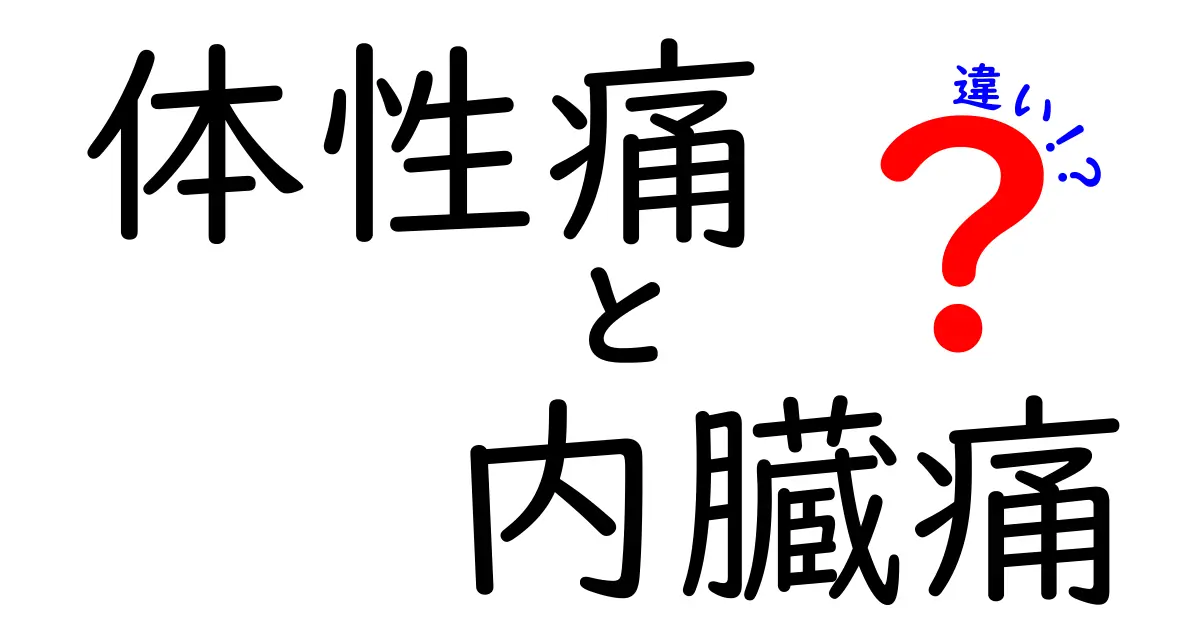 体性痛と内臓痛の違いを徹底解説！痛みの原因を見極める3つのポイント