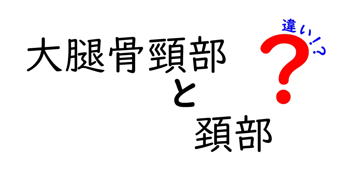 大腿骨頸部と頚部の違いをわかりやすく解説！名前が似ているのに何が違う？