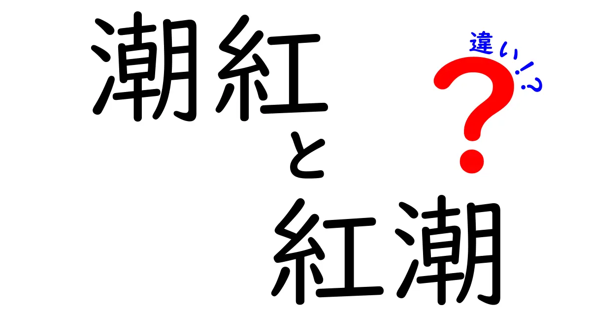 潮紅と紅潮の違いを徹底解説 中学生にもわかる語源と使い分け