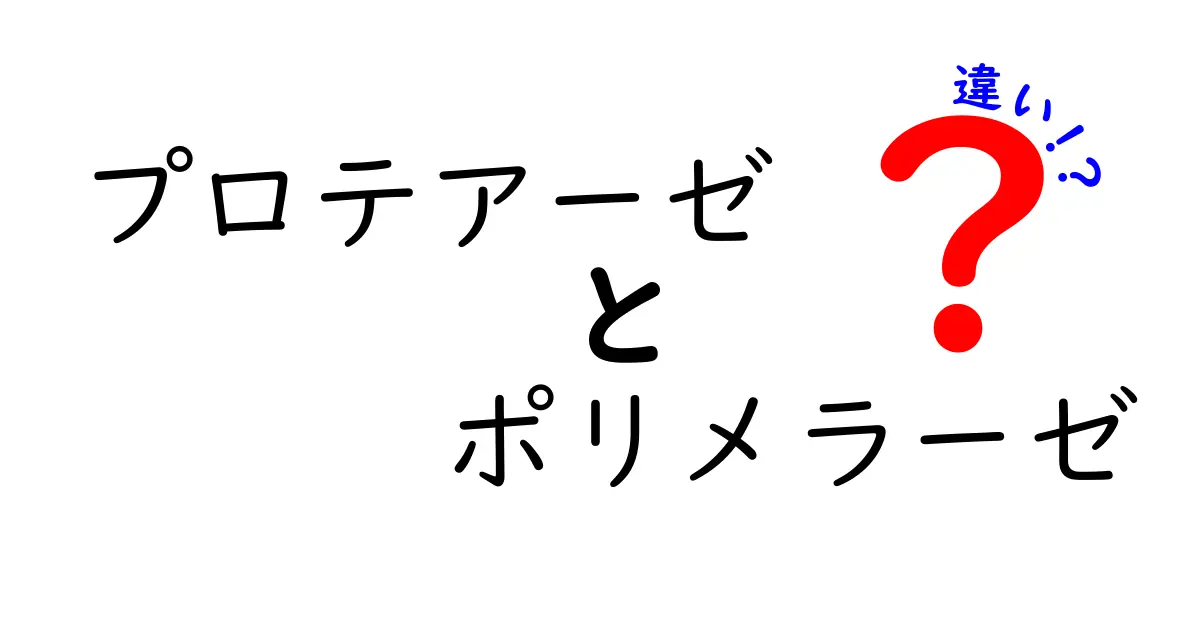プロテアーゼとポリメラーゼの違いを徹底解説！役割と仕組みを中学生にもわかる図解つき