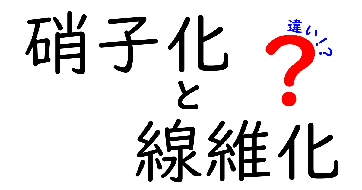 硝子化と線維化の違いを徹底解説｜原因・見分け方・日常生活への影響までわかりやすく