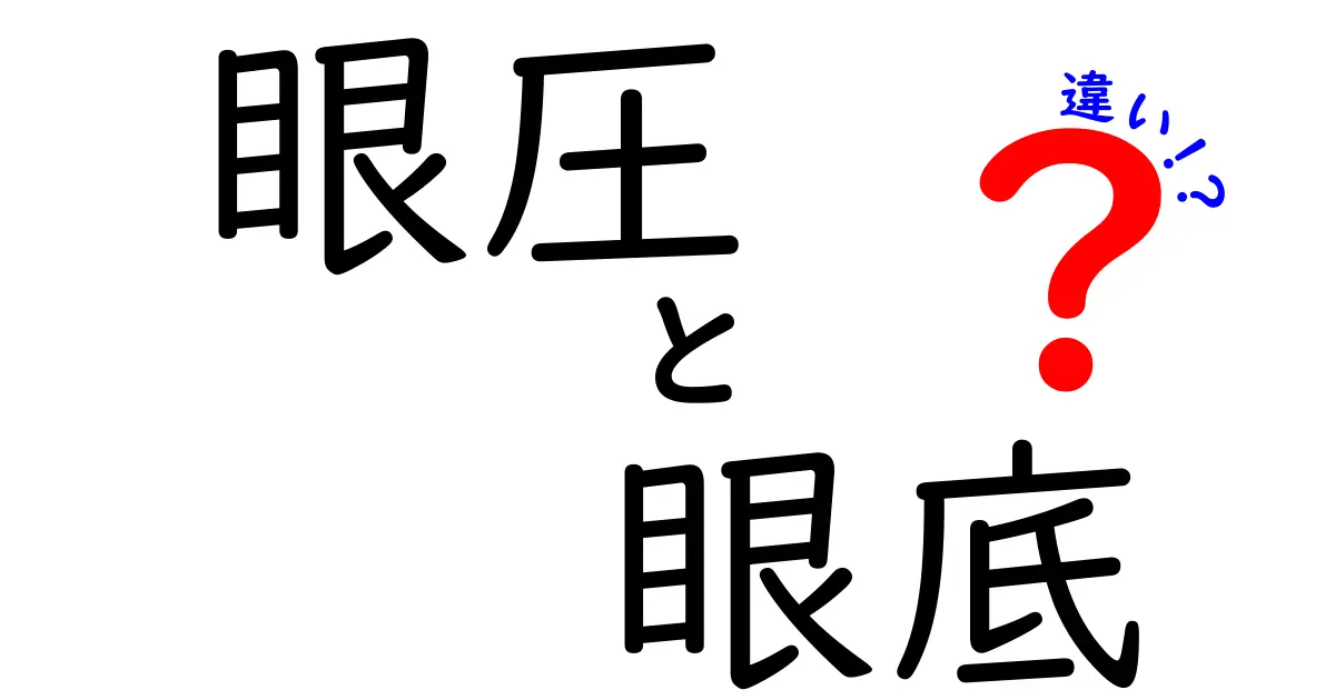 眼圧と眼底の違いをわかりやすく解説｜視力と健康を守る基礎知識