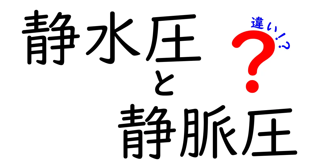 静水圧と静脈圧の違いを徹底解説！中学生にもわかる図解つきガイド