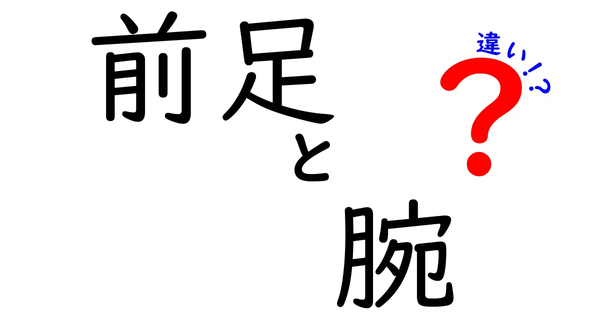 前足と腕の違いを徹底解説！動物と人間の“手足”が果たす役割の違いをわかりやすく学ぶ