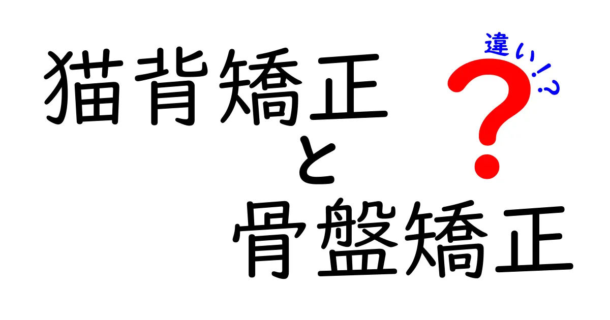 猫背矯正と骨盤矯正の違いを徹底解説！どっちを先に治すべきかと日常ケアのコツ