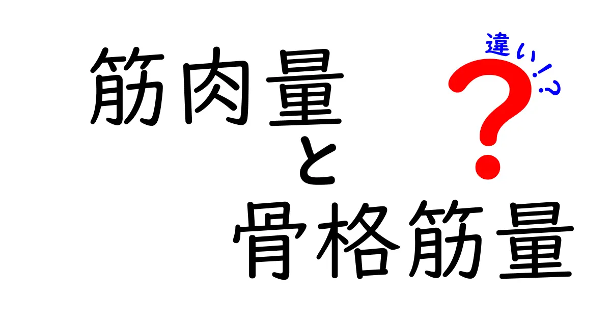 筋肉量と骨格筋量の違いを今すぐ理解する：測定方法と日常生活への活かし方まで完全ガイド