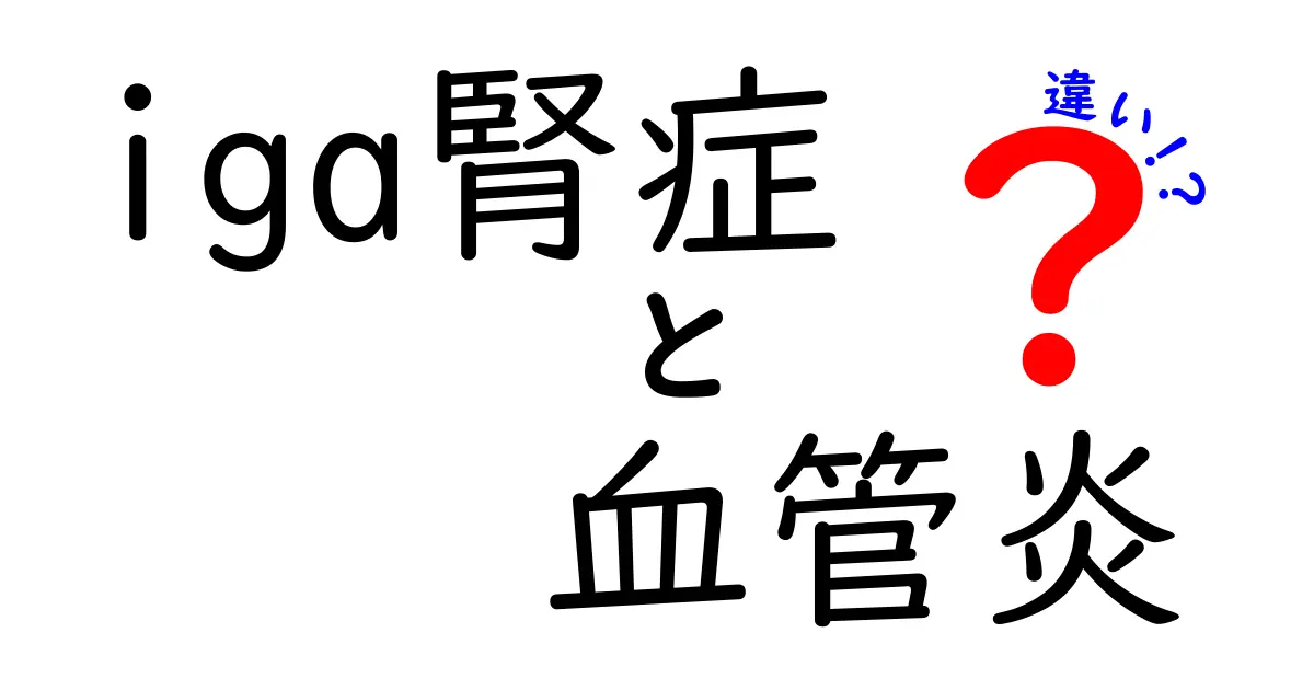 iga腎症と血管炎の違いをわかりやすく解説！症状・検査・治療のポイントを徹底比較