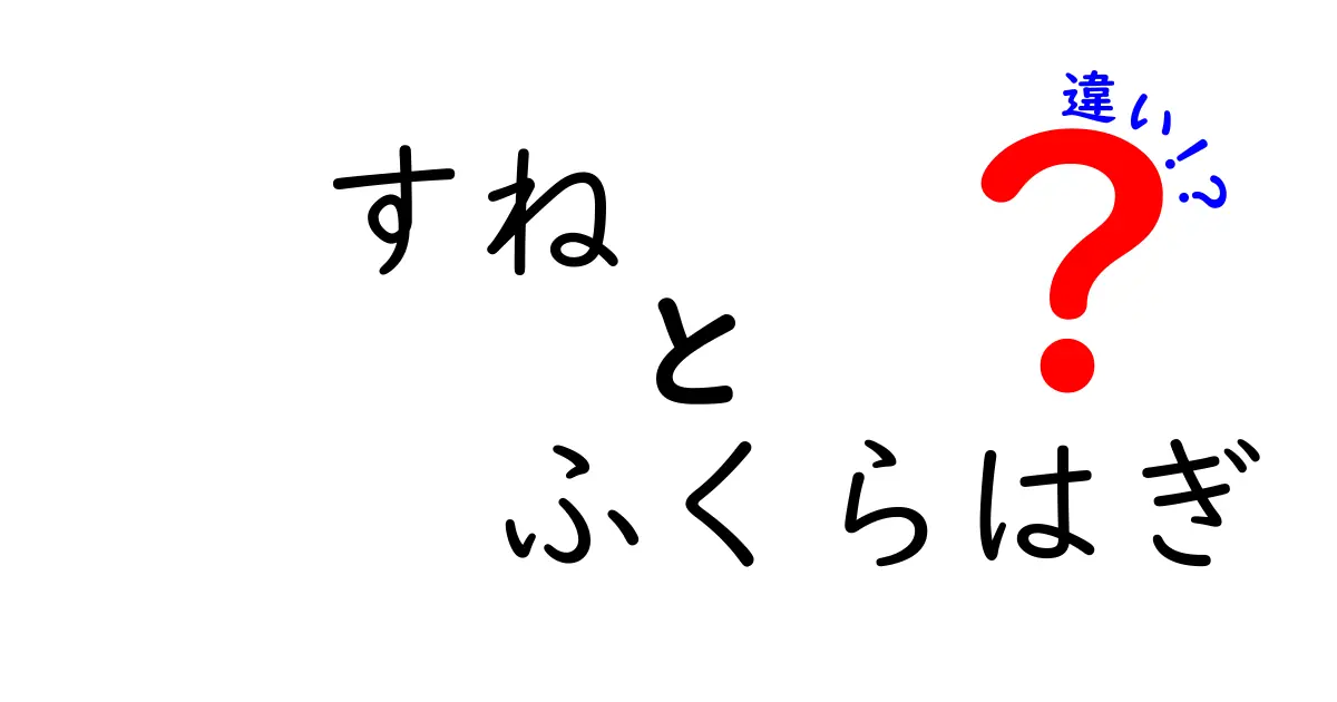 すねとふくらはぎの違いを3分で理解！見分け方とケガ予防まで徹底解説