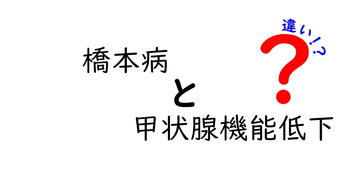 橋本病と甲状腺機能低下の違いを徹底解説｜症状・原因・治療・見分け方を中学生でもわかる解説