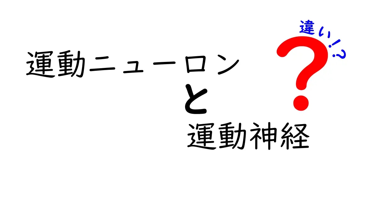 運動ニューロンと運動神経の違いを徹底解説｜中学生にも分かる図解付き