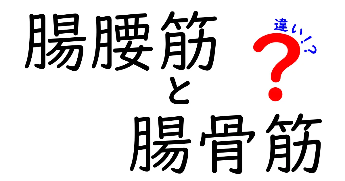 腸腰筋と腸骨筋の違いを徹底解説！誰でも理解できるポイントと日常への影響