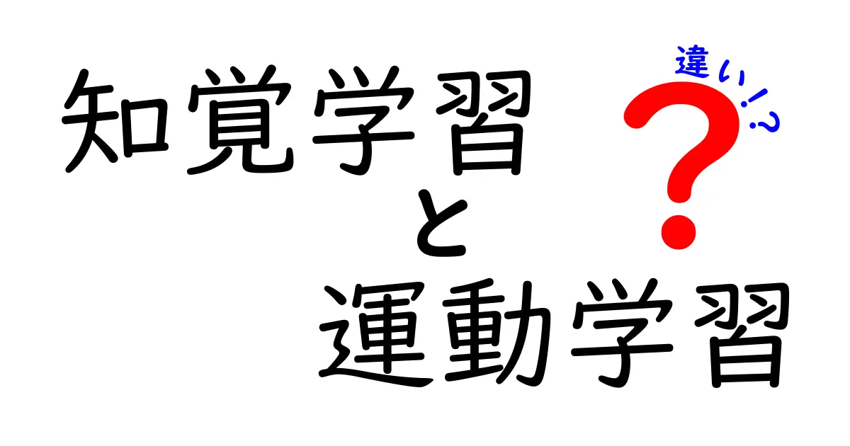 知覚学習と運動学習の違いを徹底解説！どちらを伸ばすべきか、中学生にもわかる解説