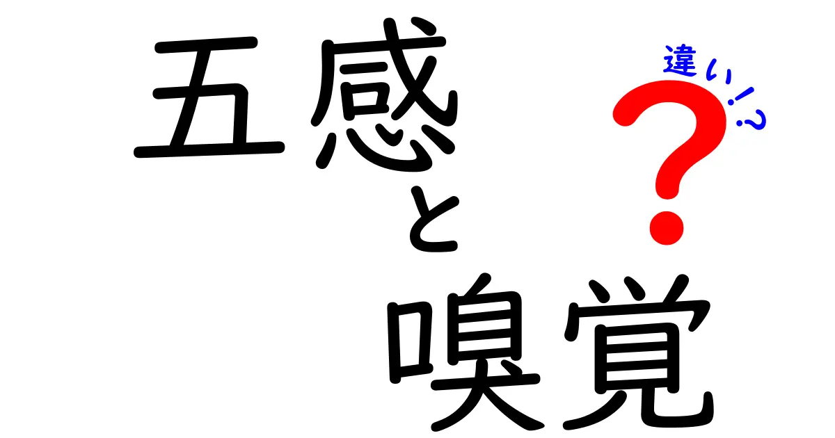五感と嗅覚の違いを徹底解説！匂いはなぜ記憶と結びつくのか？