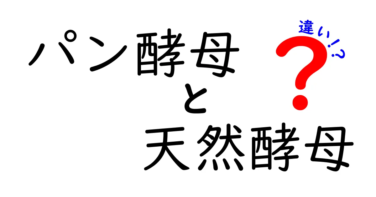 パン酵母　天然酵母　違いを徹底解説！パン作り初心者が知っておくべきポイント
