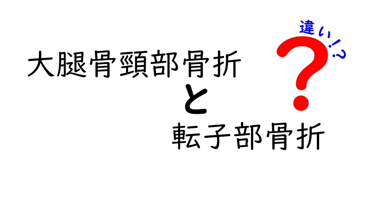 大腿骨頸部骨折と転子部骨折の違いをわかりやすく解説：原因・治療・回復のポイント