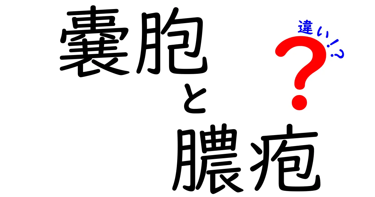 嚢胞と膿疱の違いを徹底解説｜見分け方から治療まで中学生にもわかる図解つき