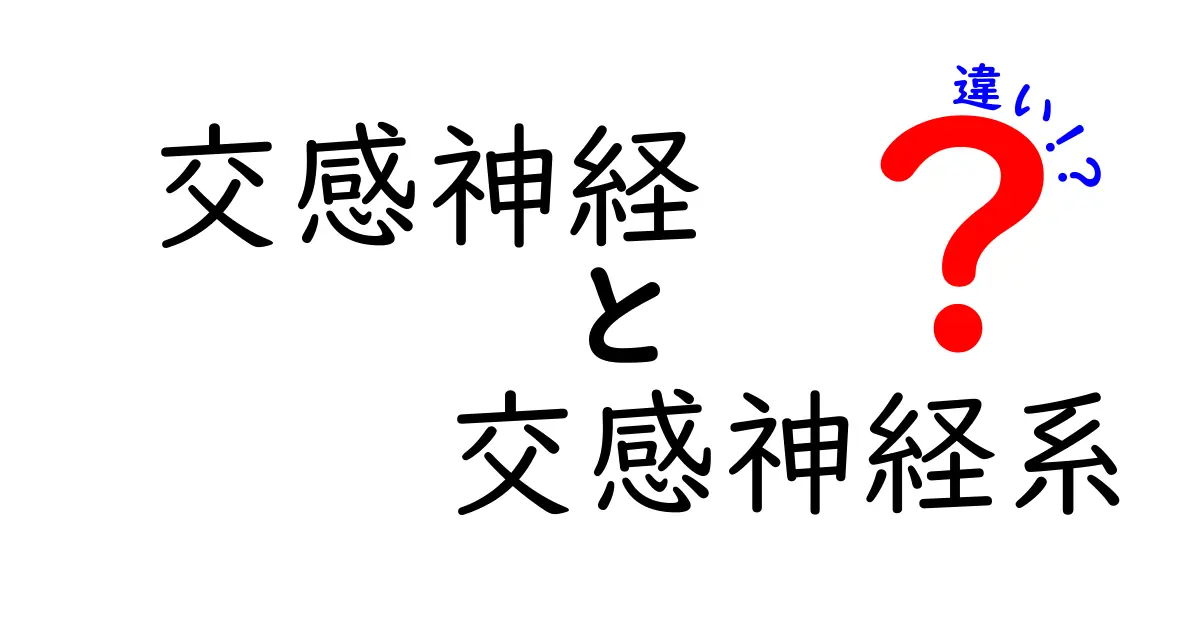 交感神経と交感神経系の違いを徹底解説！中学生にもわかるシンプルポイント