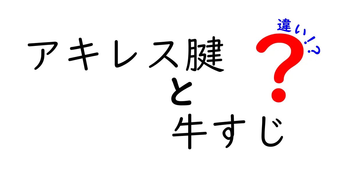 アキレス腱と牛すじの違いを徹底解説！あなたの知識を一歩深める分かりやすい見分け方