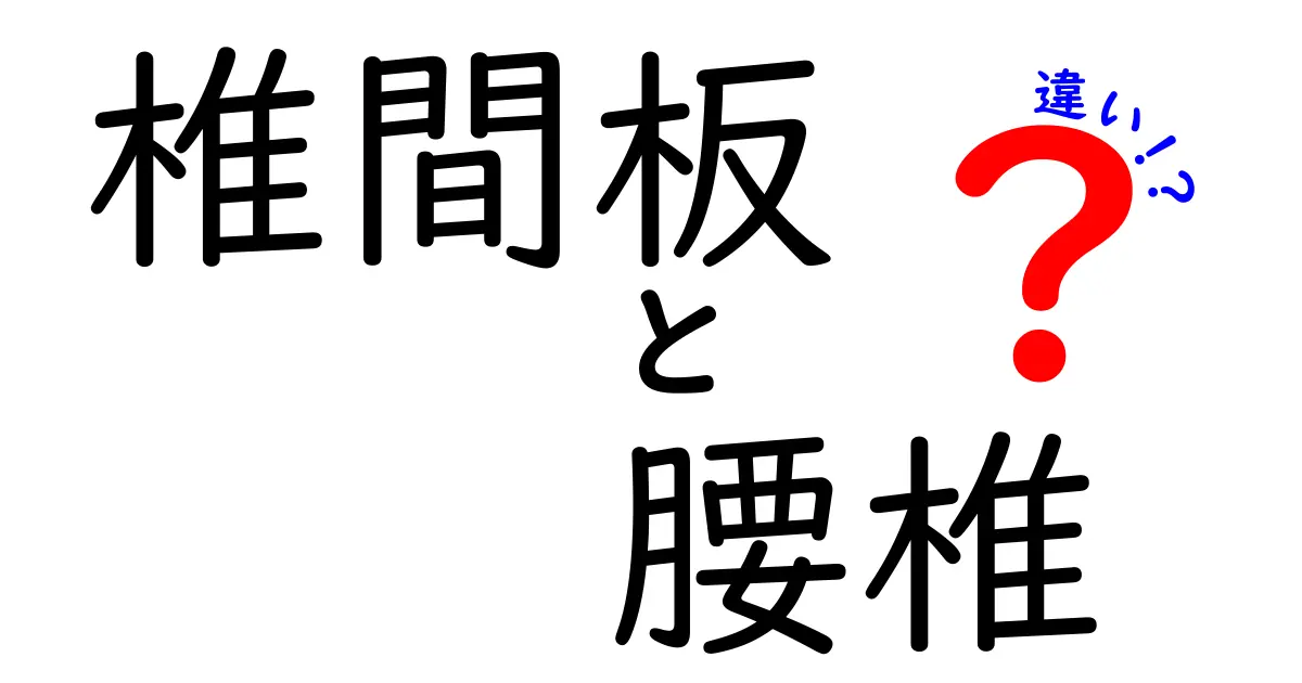 椎間板と腰椎の違いを徹底解説｜初心者にも分かる背骨の基礎講座