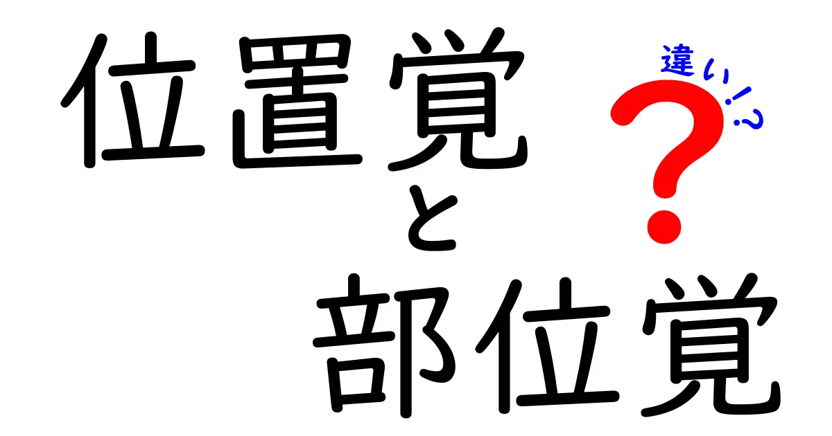 位置覚と部位覚の違いを徹底比較！どう違うの？脳と体の秘密をやさしく解説