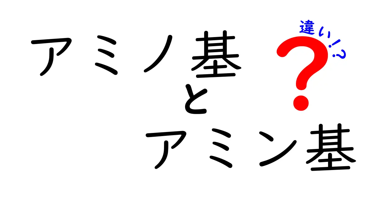 アミノ基とアミン基の違いを徹底解説！中学生にもわかるポイントと身近な例