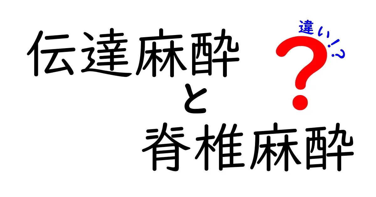 伝達麻酔と脊椎麻酔の違いを徹底解説｜あなたが知っておくべきポイント
