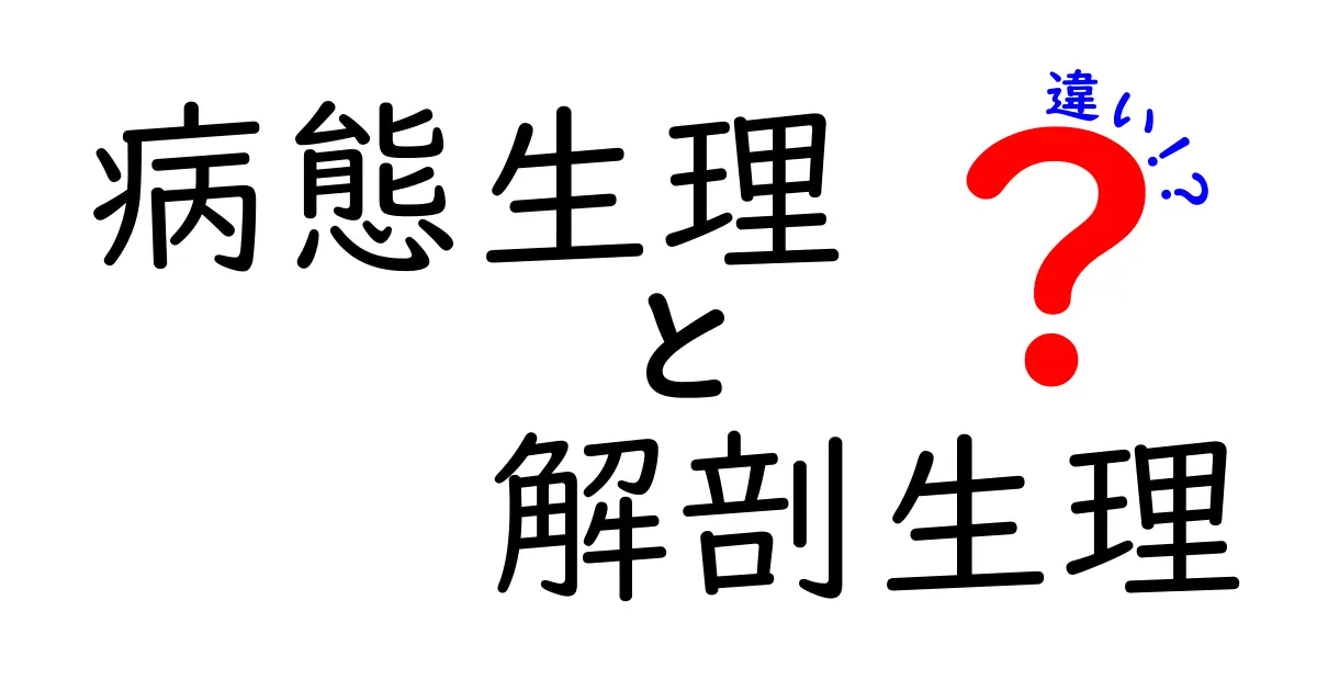 病態生理と解剖生理の違いを徹底解説！中学生にも伝わる図解つきガイド