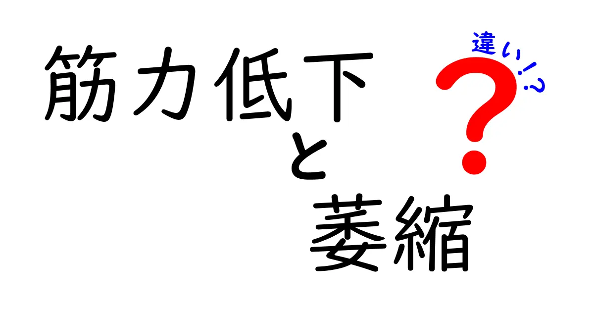 筋力低下と萎縮の違いを徹底解説！見分け方と日常でのケア
