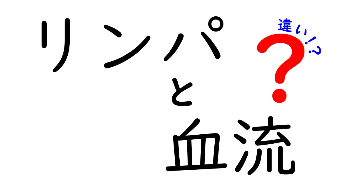 リンパと血流の違いを知ろう：体を動かす2つの循環システムの役割と見分け方