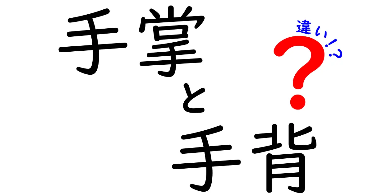 手掌と手背の違いを徹底解説！見分け方と役割を中学生にもわかる図解ガイド