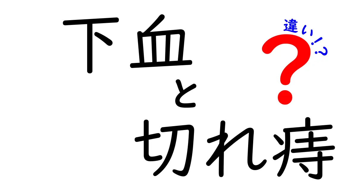 下血と切れ痔の違いを徹底解説！見分け方・原因と対処法を中学生にもわかる言葉で