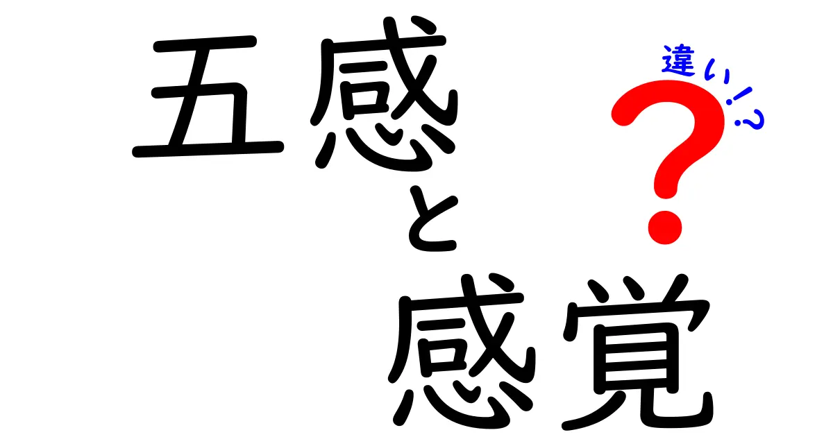 五感と感覚の違いを知ろう！中学生にもわかる3つのポイントと日常の使い方