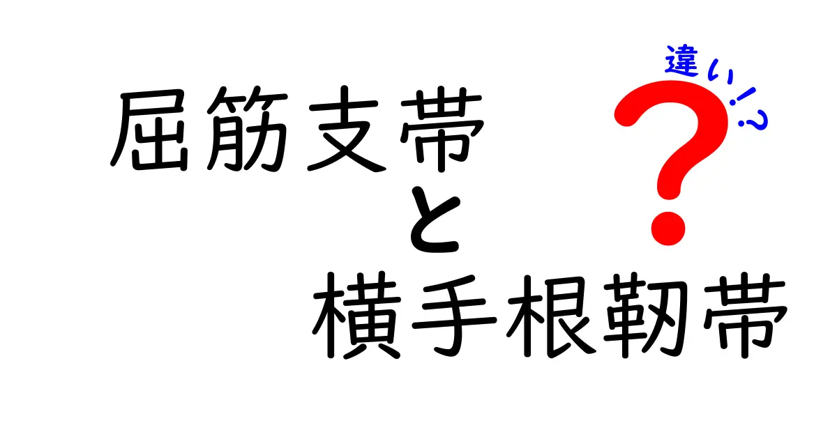 屈筋支帯と横手根靭帯の違いを徹底解説｜知らないと損する腕のしくみ