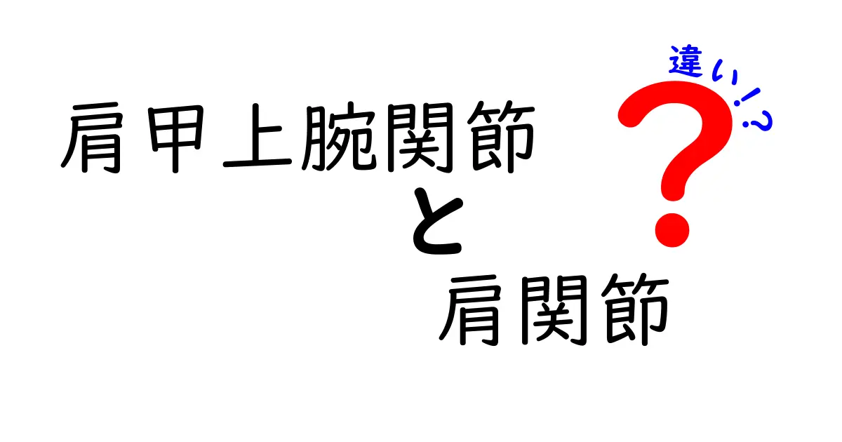 肩甲上腕関節と肩関節の違いを徹底解説 — 基本から実生活のヒントまで